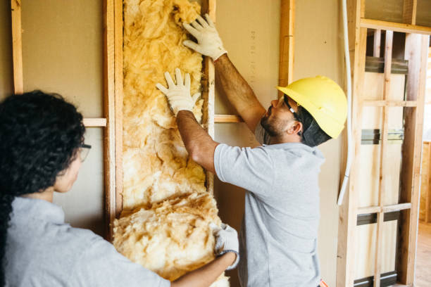 Eco-Friendly or Green Insulation Solutions in Sansom Park, TX